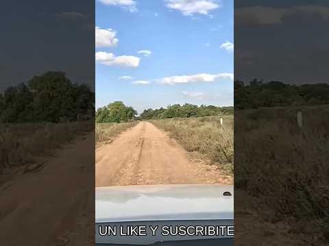 RINCÓN DE CARUMBÉ, PAYSANDÚ, FIN DEL CAMINO...