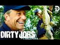 Mike Rowe Takes On Florida S Iguana Problem Dirty Jobs