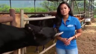 Приколи с девушками.Лучшие приколы.