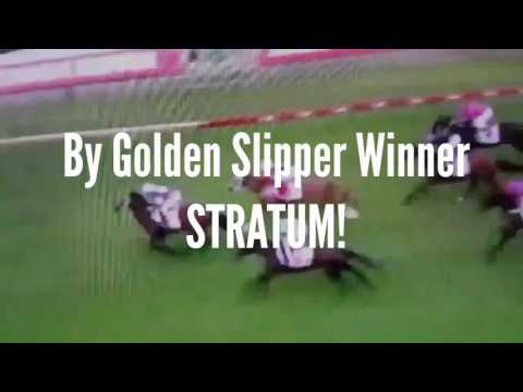 Stratums Next G1 Winner?