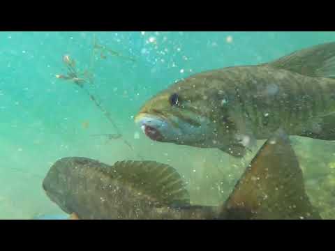 The bromance continues