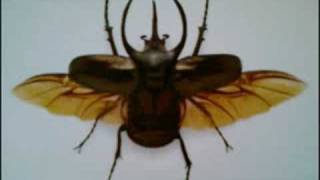 ATTICA BLUES / Page One -then- Look at Yourself