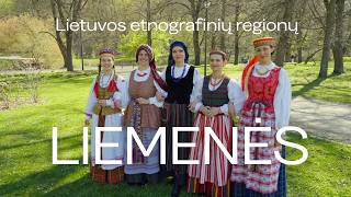 Lietuvos etnografinių regionų liemenės