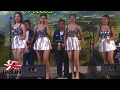 Parranda sanjuanito ESPLENDIDOS DE SALVIA Exclusivo CONCIERTO OFICIAL. MIGUELITOPRODUCCIONES