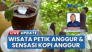 Sajian Unik di Gamma Grape Experience Malang, Kopi Anggur Manjakan Lidah Pengunjung