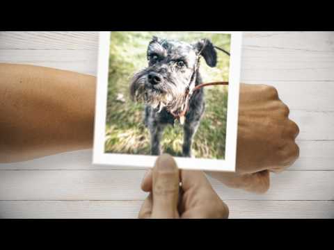 Garmin Face It™ Video