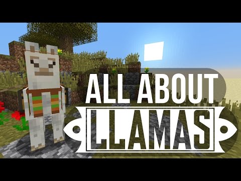 Llamas: Taming, Breeding & More - Minecraft Video