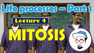 Mitosis || Life processes in Living Organisms Part 1 Class 10 SSC CBSE