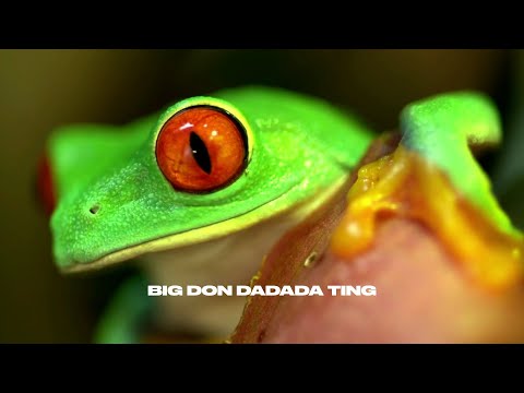 Magugu & Famous Eno - Big Don (Official Lyrics Video)