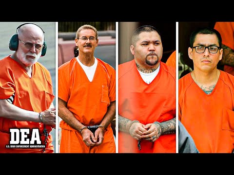 DEA Just REVEALED Mafia Families Currently Active in the US 2023