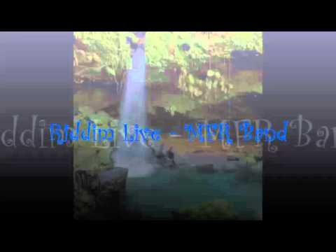 Riddim Live - MFR Band