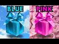 🤩 Choose your gift🎁💝✨️| 2 gift box challenge | Blue and Pink #pickonekickone #giftboxchallenge