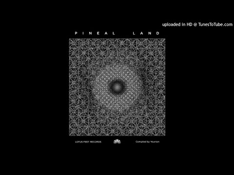 Jon Day – Rainbow Brains