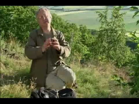 Cz_Magické Hory_01/13_Říp_Cílek