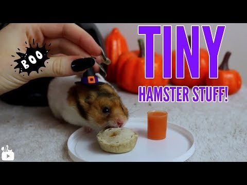 Making tiny things for my hamster!