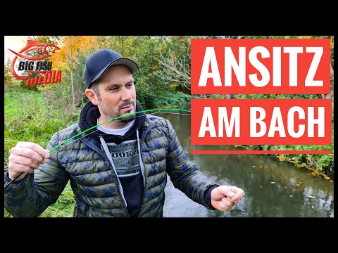 Ansitz am Bach - Leichtes und erfolgreiches Grundangeln