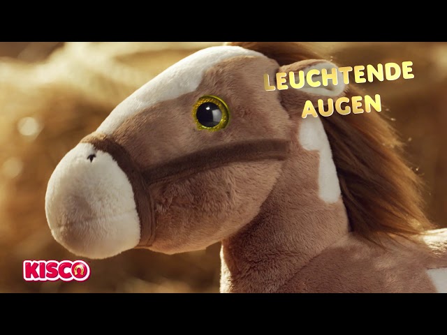 Video Teaser für Kisco Gipsy 2019