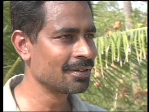 My Camera and Tsunami