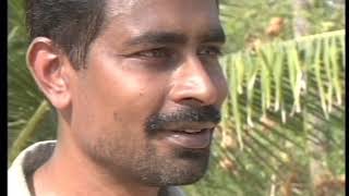 My Camera and Tsunami