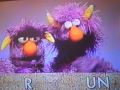 Two Headed Monster Run