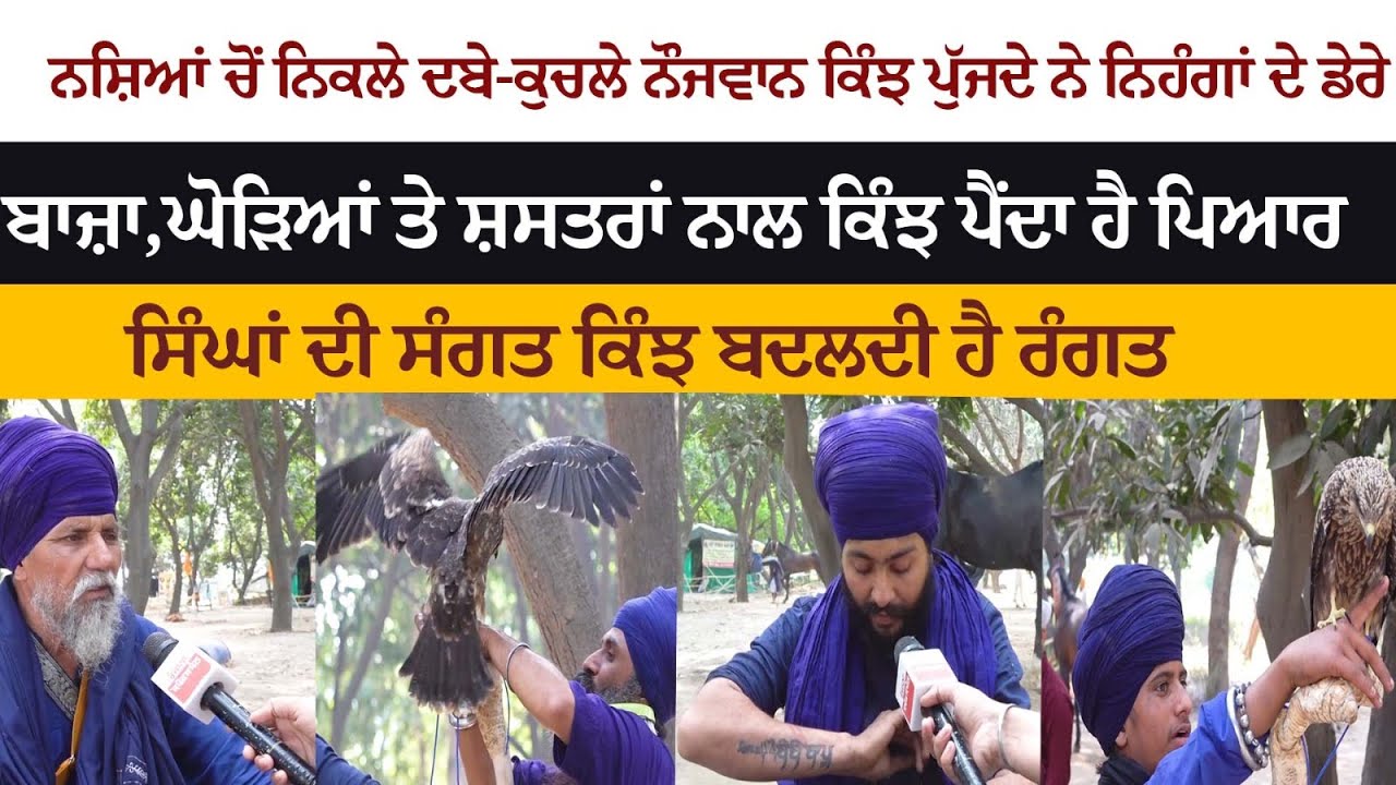 ਨਸ਼ੇ, ਅੱਯਾਸੀ 'ਚ ਨਿਕਲ ਮੁੰਡੇ ਕਿਵੇਂ ਬਣਦੇ ਨੇ Nihang Singh? ਸੁਣੋ ਨਿਹੰਗ ਸਿੰਘਾਂ ਦੀ ਜ਼ਿੰਦਗੀ ਦੇ ਅਣਗੁਣੇ ਕਿੱਸੇ ਨਸ਼ੇ, ਅੱਯਾਸੀ 'ਚ ਨਿਕਲ ਮੁੰਡੇ ਕਿਵੇਂ ਬਣਦੇ ਨੇ Nihang Singh? ਸੁਣੋ ਨਿਹੰਗ ਸਿੰਘਾਂ ਦੀ ਜ਼ਿੰਦਗੀ ਦੇ ਅਣਗੁਣੇ ਕਿੱਸੇ