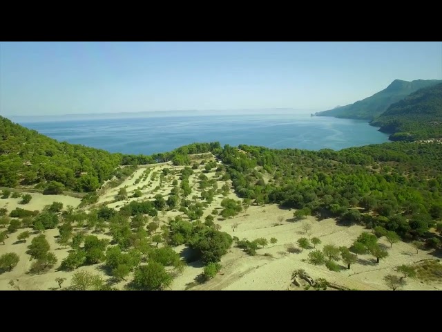 In aller Ruhe geniessen. Son Bunyola Hotel & Villas, Mallorca.