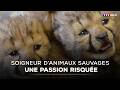 Wild Animal Keeper A Risky Passion TF1 INFO