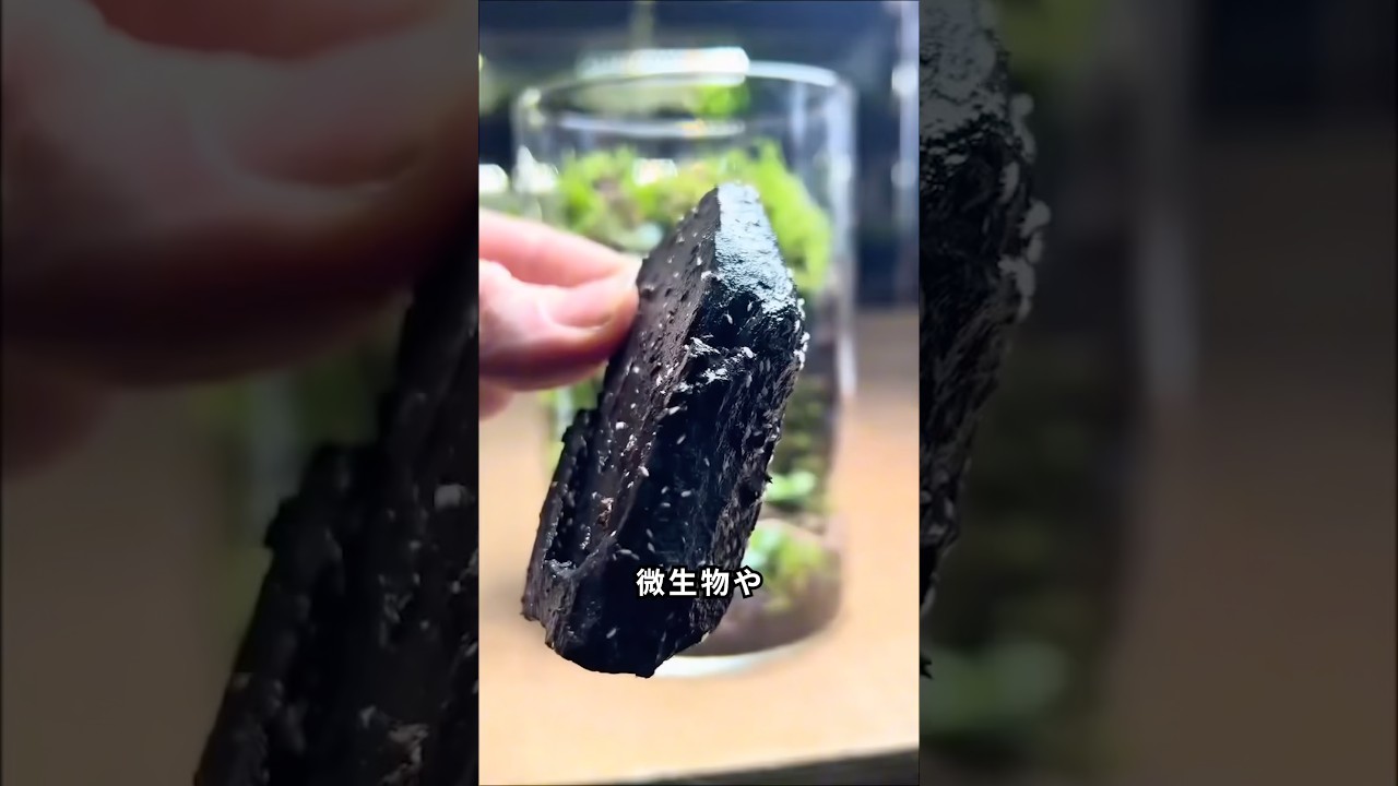 この瓶、永遠に維持される仕組みとは？