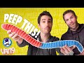 The World's Largest Gummy Worm... But Make It Sour | Peep This | VAT19