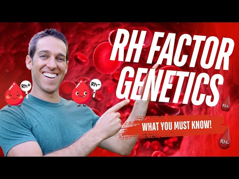 RH Factor Genetics Explained - Why is RH- so rare?