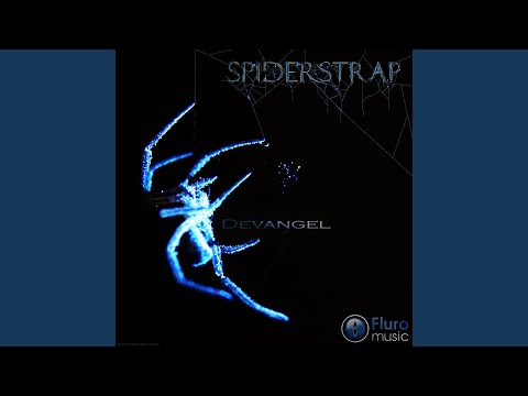 Spiderstrap