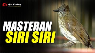 Download lagu MASTERAN SIRI SIRI GACOR TEMBAKAN RAPET SANGAT COCOK BUAT MATERI GESEKAN mp3 Download lagu MASTERAN SIRI SIRI GACOR TEMBAKAN RAPET SANGAT COCOK BUAT MATERI GESEKAN mp3