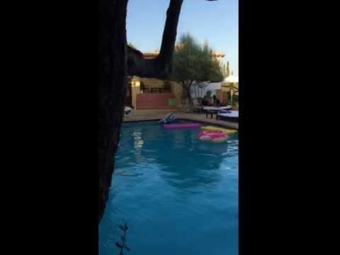 Club Tropicana Ibiza 2016