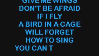SC7556 03   Johnson, Michael   Give Me Wings [karaoke]