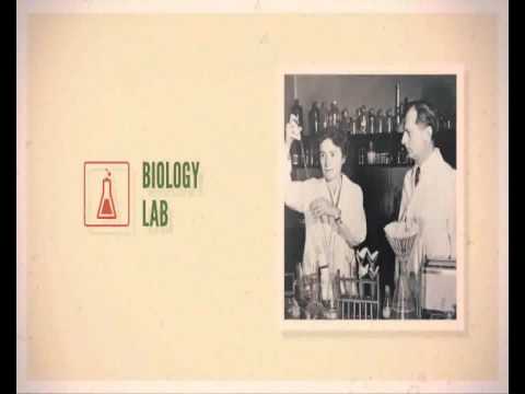 Z.A.S.S. - Zombie Apocalypse Survival Simulation