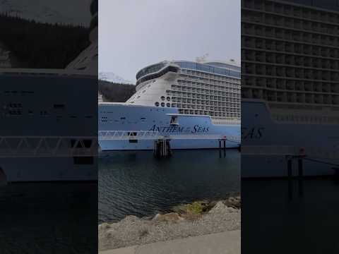 Thumbnail for Anthem of the Seas Cruise Ship #anthemoftheseas  #cruiseship #cruiseport