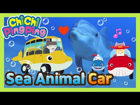 🎵 Sea animal car | nursery rhymes | kids song | Chichi Pingping | Adventure Cartoons for Kids