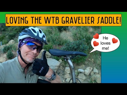 My Favorite Gravel Bike Saddle...So Far! WTB's Gravellier is a Keeper.