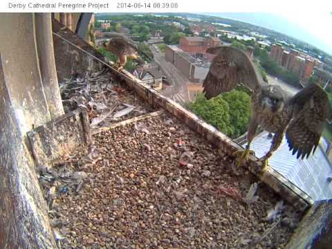 20140614 Wing exercise3