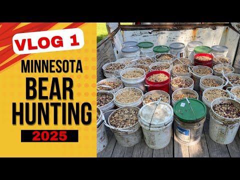 2025 Minnesota Bear Hunting vlog 1