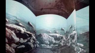 Melodic Ambient Instrumental XVII