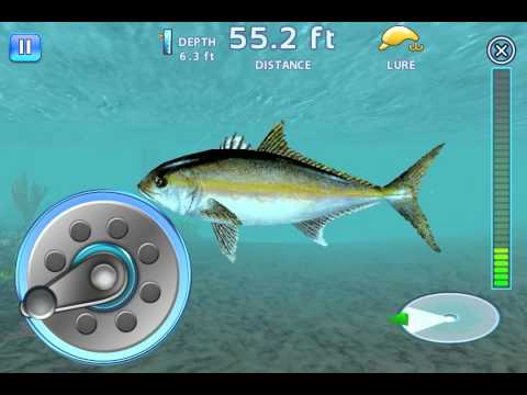 fishing king android free download