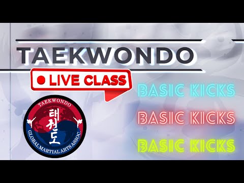 Taekwondo LIVE Class - Basic Kicks thumbnail