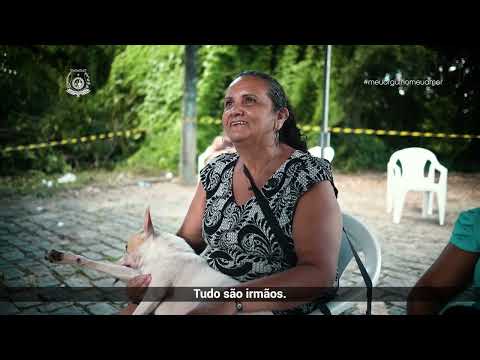 PREFEITURA | Pet Ceará Móvel