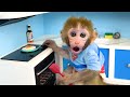 Baby monkey Bon Bon goes to the supermarket to buy kitchen utensils and eats eggs with puppy