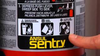 SENTRY: Dry Chemical Stored Pressure Fire Extinguishers (1 of 6)
