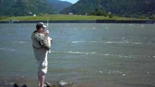 preview picture of video 'River monster hooked while shad fishing below Bonneville dam'
