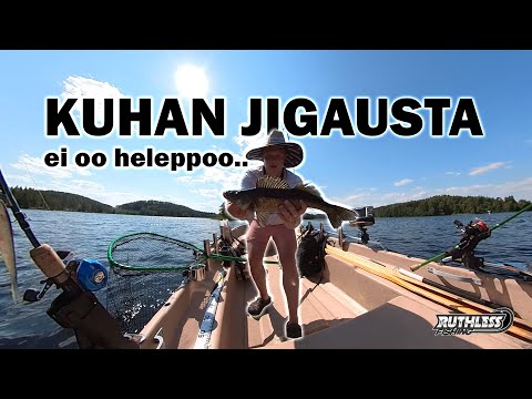 Vertsulla kuhaparvesta! Saimaa ossaa olla haastava | Kuhan jigausta
