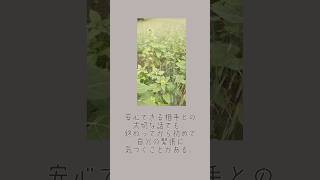 私はモノより、人に心が動く。 #hsp #不安障害 #繊細さん