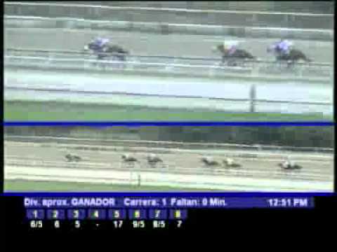 1ERA CARRERA SABADO 03 MARZO LA RINCONADA AUDIOHIPISMO